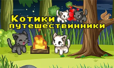 Котики путешественники